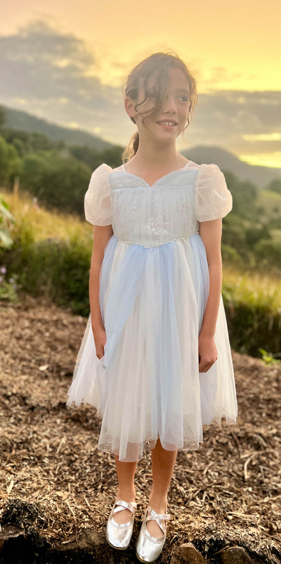 Elsa Princess Dress