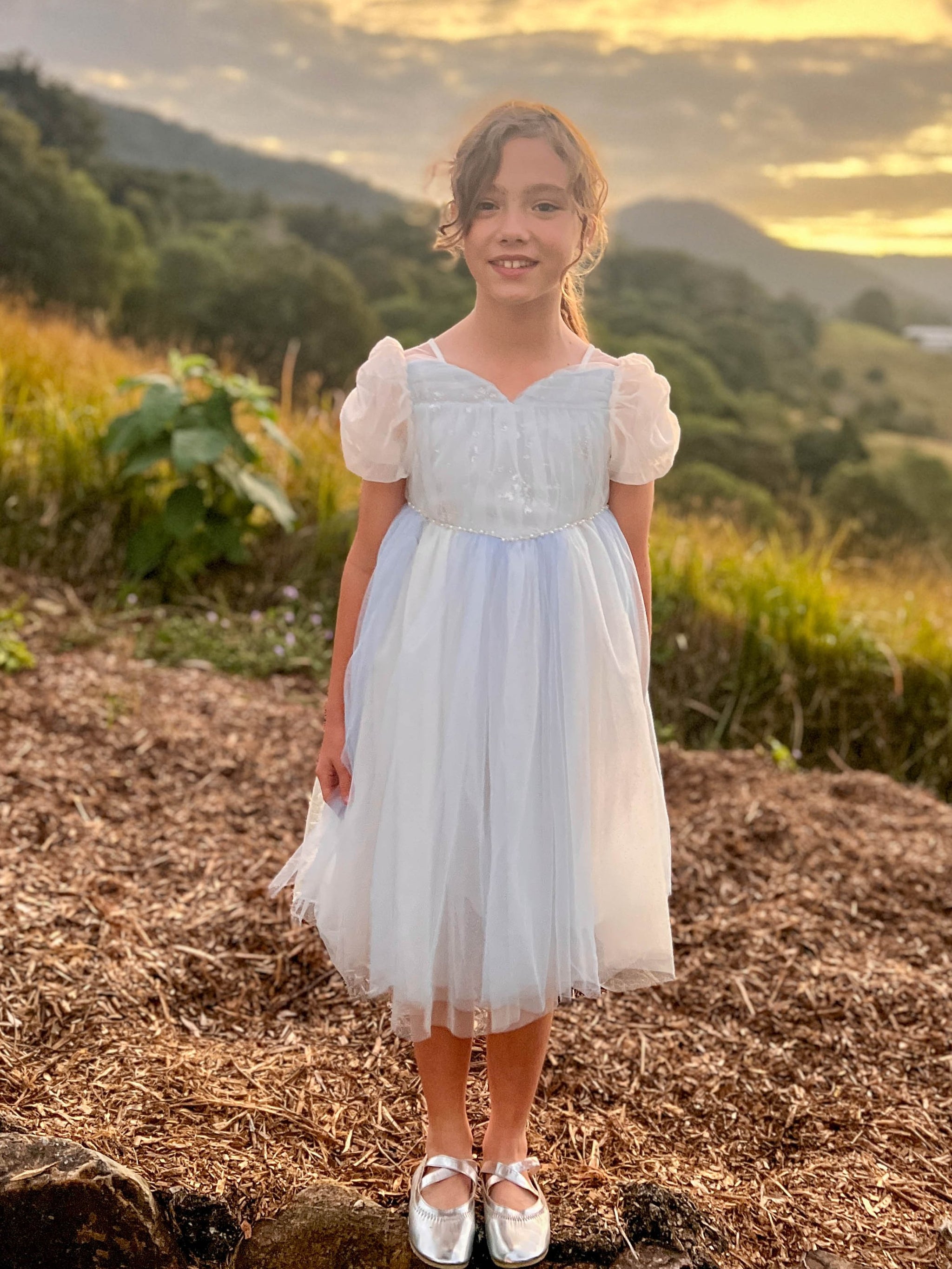 Elsa Princess Dress