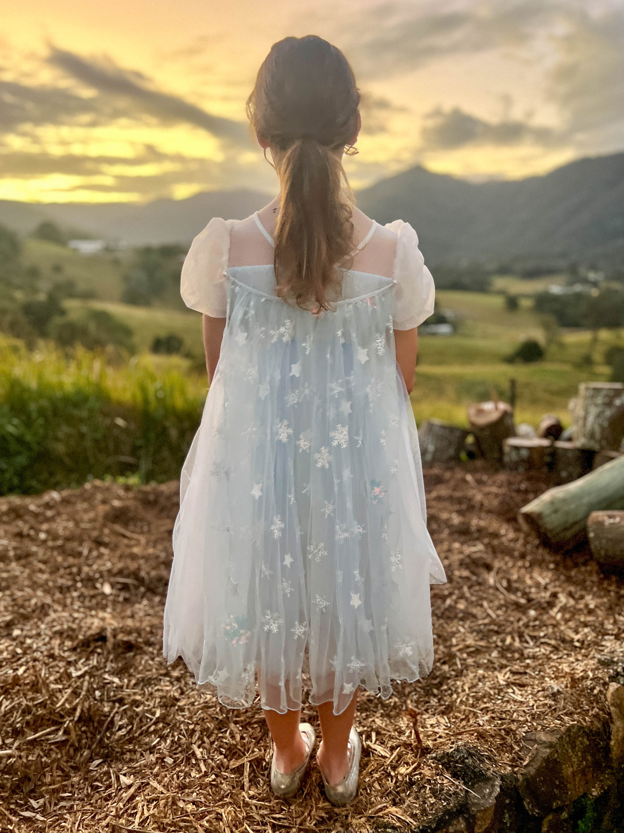 Elsa Princess Dress