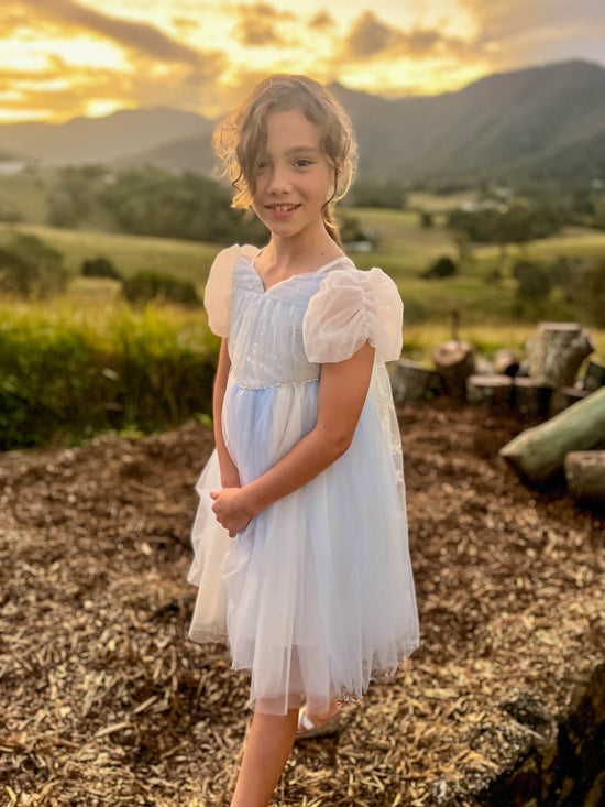 Elsa Princess Dress