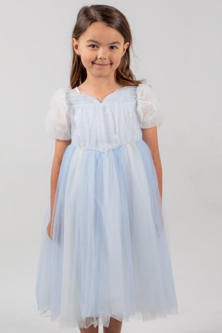 Elsa Princess Dress