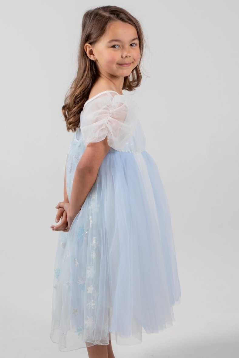 Elsa Princess Dress