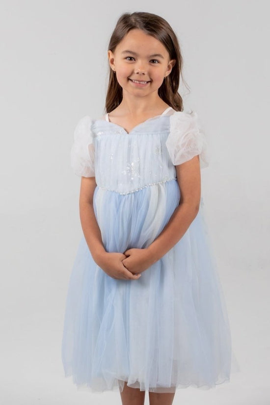 Elsa Princess Dress